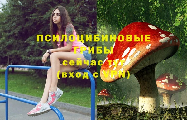 мдма Кулебаки