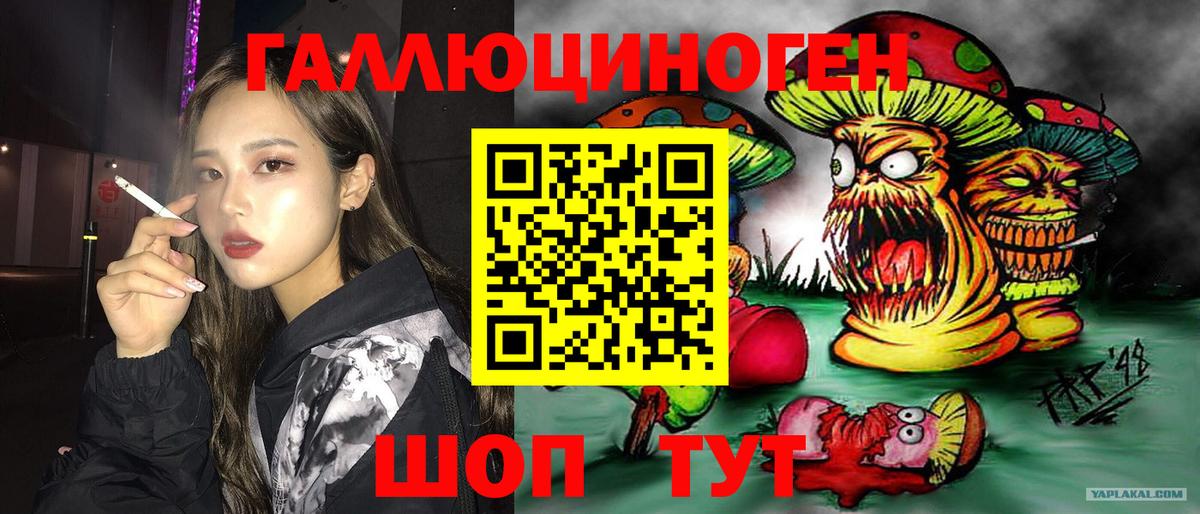 Галлюциногенные грибы Psilocybe  Галлюциногенные грибы мухоморы  продажа наркотиков  Фрязино 