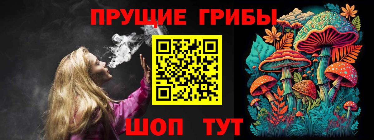 Псилоцибиновые грибы Psilocybine cubensis Фрязино